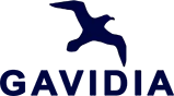 202603002 GAVIDIA MIXTO